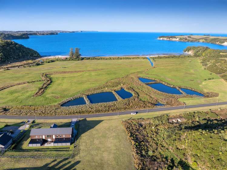 20 Ahumoana Road, Weiti Bay_4