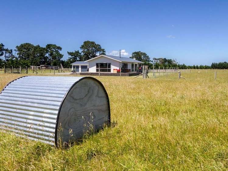 192 State Highway 53 Featherston_6