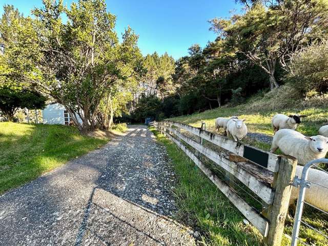 344A Waitakere Road Taupaki_3