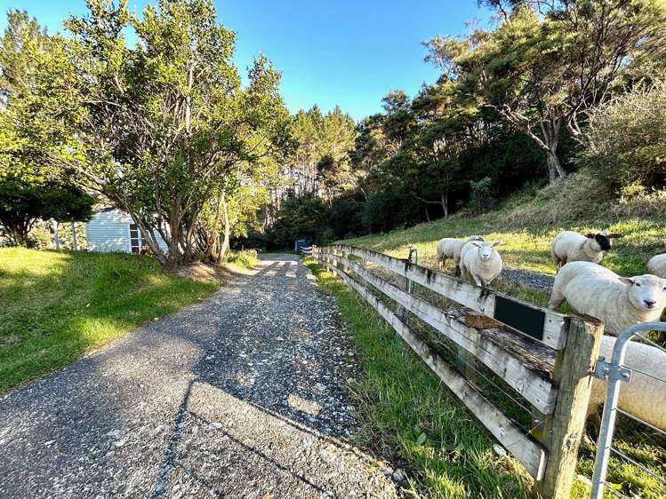 344A Waitakere Road Taupaki_3