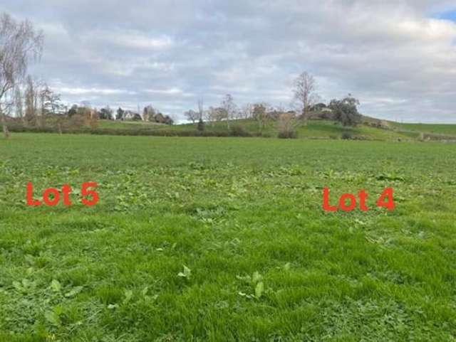 4/C/163 Old Te Kuiti Road Otorohanga_3