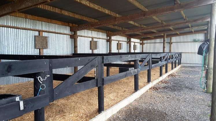 750 Ohiti Road Crownthorpe_17