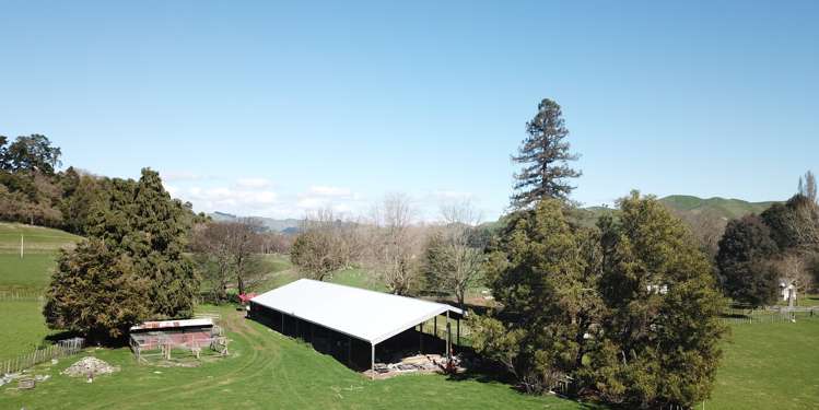 1499 Moawhango Valley Road Rangitikei Surrounds_5