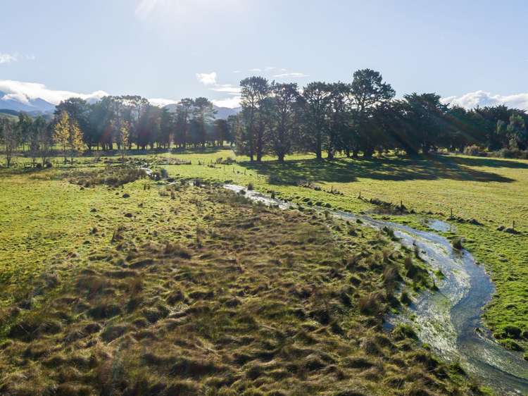 809 Norfolk Road Carterton_20
