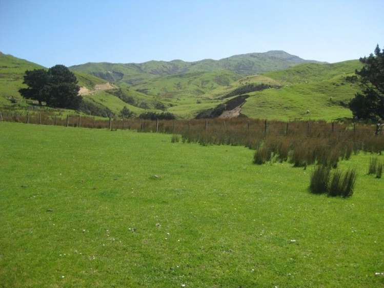 858 Oporae Road Waione_17