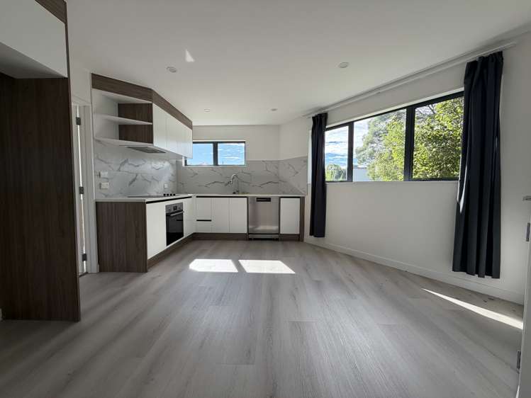 62 Tiri tiri Road Birkdale_2