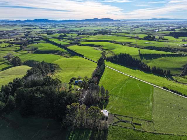 164 Waddle Road Mataura_4