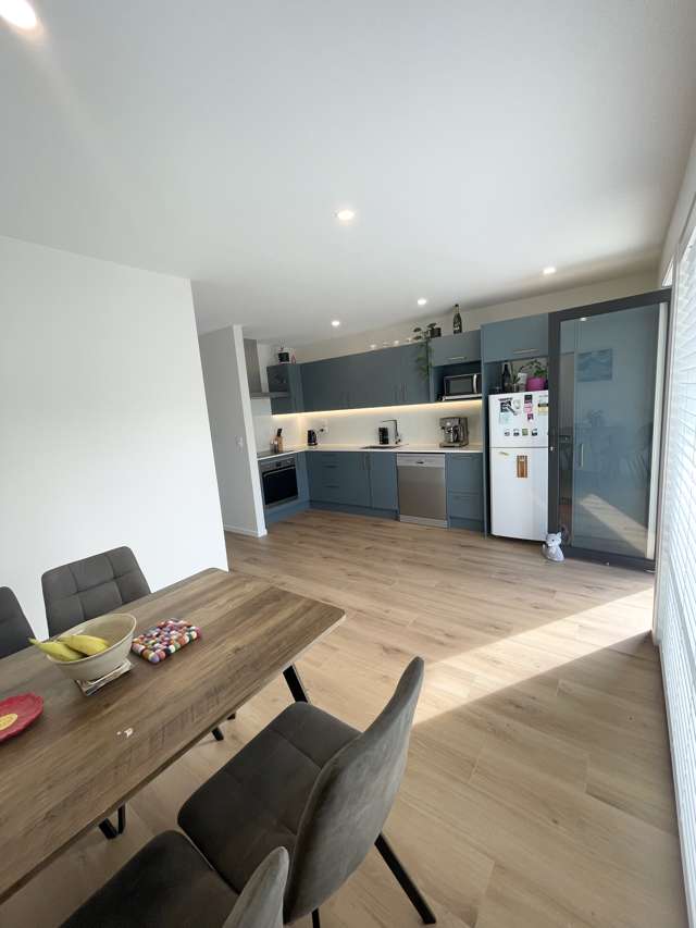 30b Stewart Rd Mount Albert_2