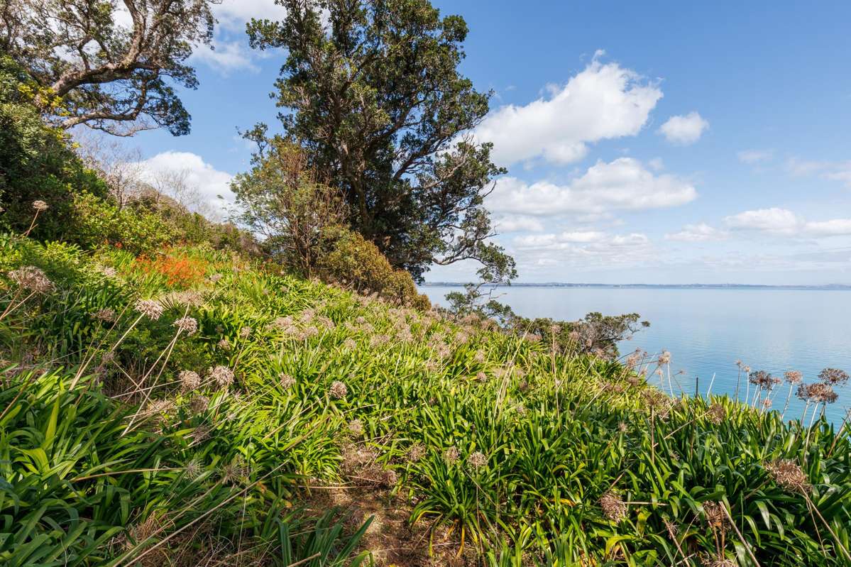 12 Pohutukawa Avenue_4