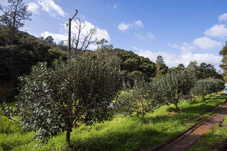 74 Waiparera Road Parua Bay_20