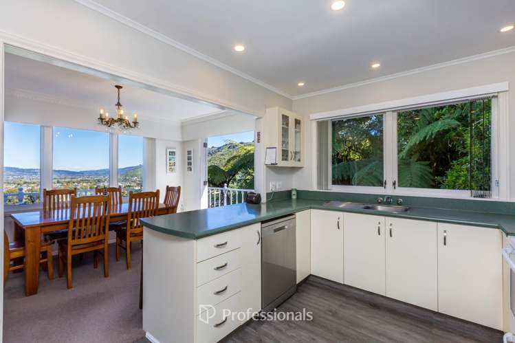 7 Alleyne Court Brown Owl_10