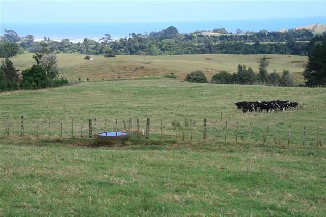 Mokau Road Urenui_1