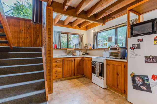 1/114 Harbour Terrace North Dunedin_2