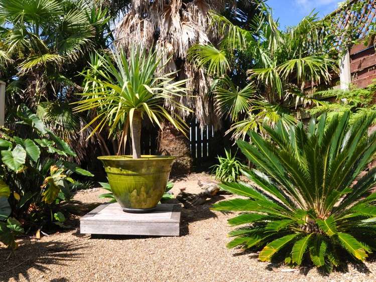 56 The Crescent Waihi Beach_21