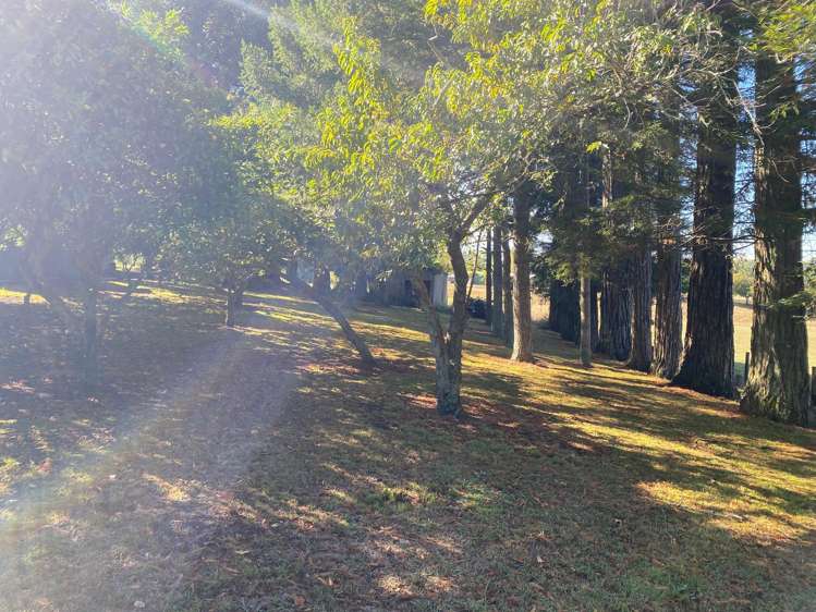 4 Berkers Rd Ngahinapouri_15