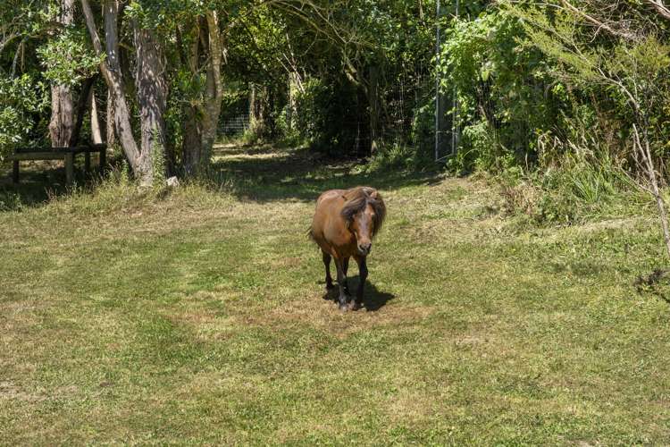 12 Manuka Drive Anakiwa and Surrounds_23