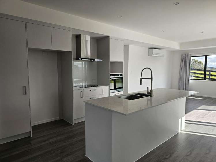 354 Whitehills Road Dairy Flat_5
