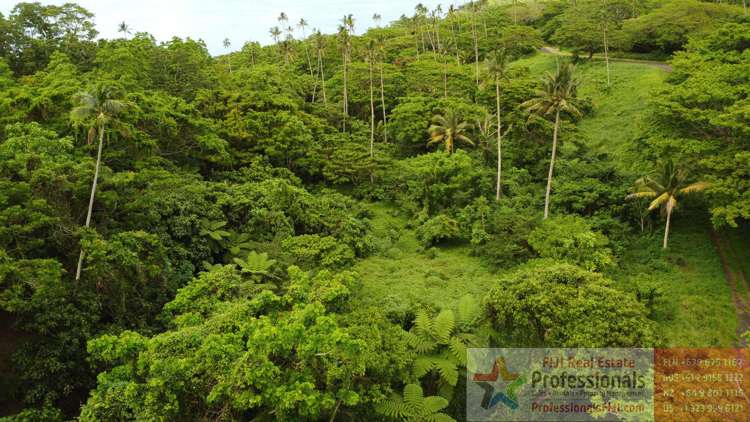 Address withheld Taveuni_11