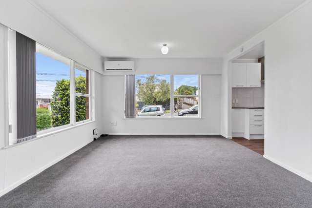 1/2 Marsden Avenue Mount Eden_2