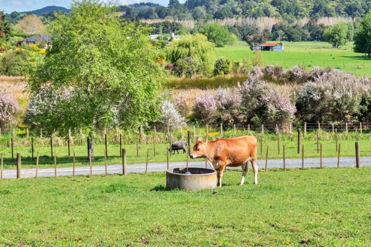 84 Streamlands Swamp Road Kaipara Flats_5
