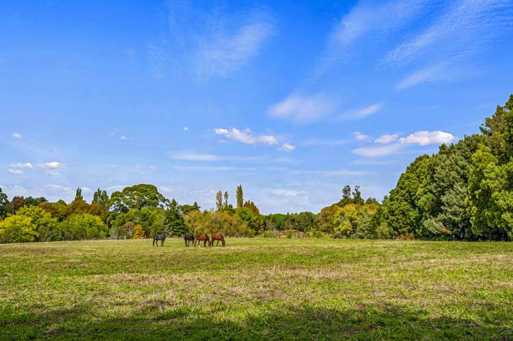 Lot 3, 70 Irish Road Pokeno_10