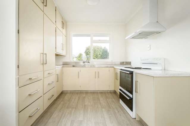 117 Somerfield Street Somerfield_4