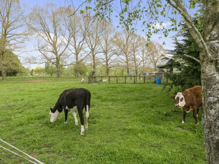 231c Matangi Road Matangi_15