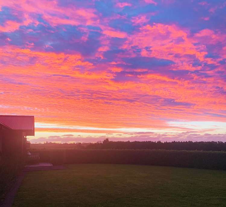 1351 South Road Kaitake_31