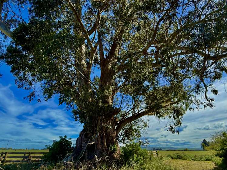 Lot 1 Willowbridge Road Waimate_30