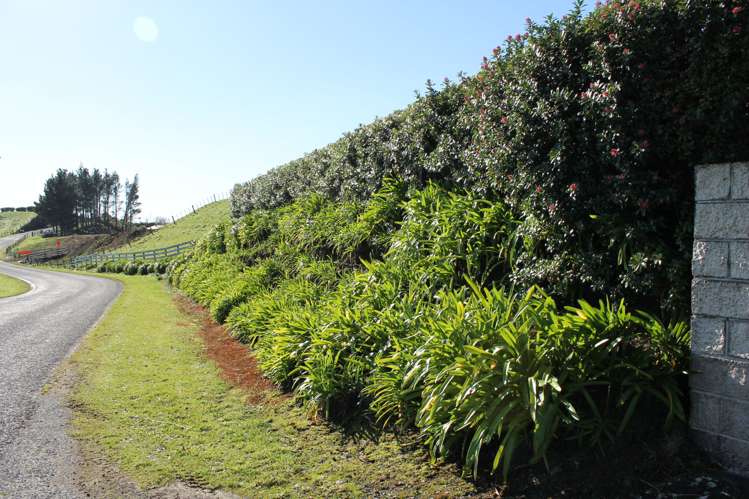 156 King Road Inglewood_20