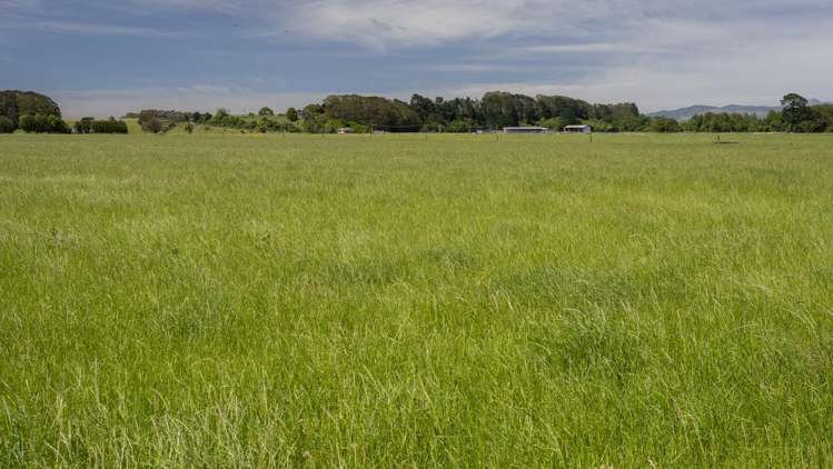 162 Hamua Hukanui Road Eketahuna_12