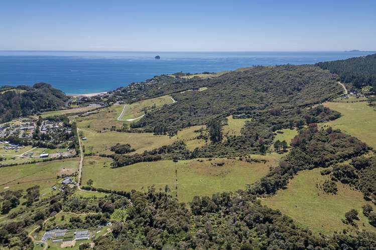 Lot 7/104 Taiwawe Lane Hot Water Beach_29