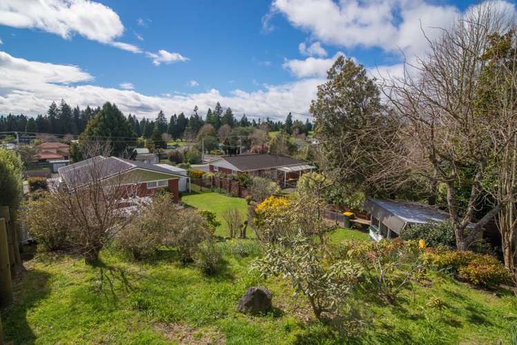 120 Springfield Road Springfield_24