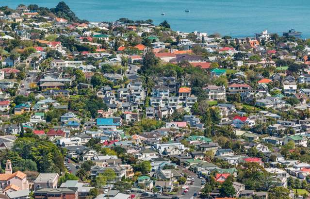 ‘Marry a home, date the interest rate!’: After price plunge Auckland gets back on its feet