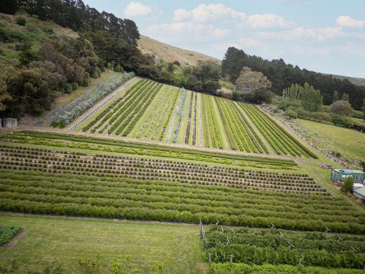 36A Horotane Valley Road Heathcote Valley_9