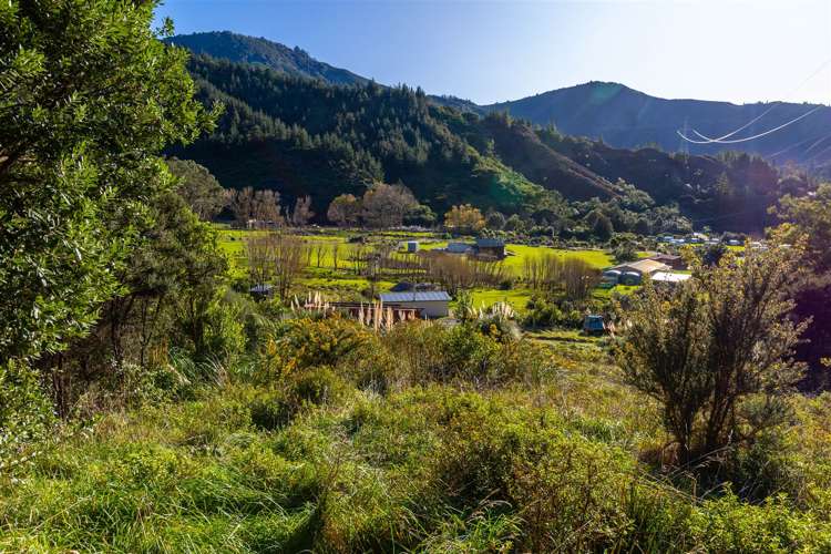 1476 Port Underwood Road Oyster Bay Port Underwood_11