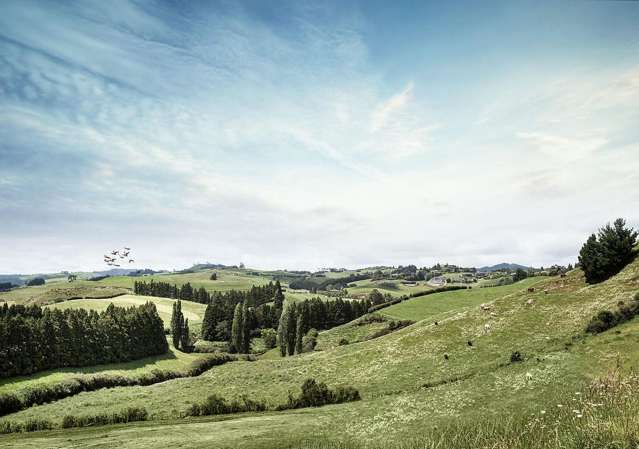 129 Three Creeks Estate Ohauiti_4