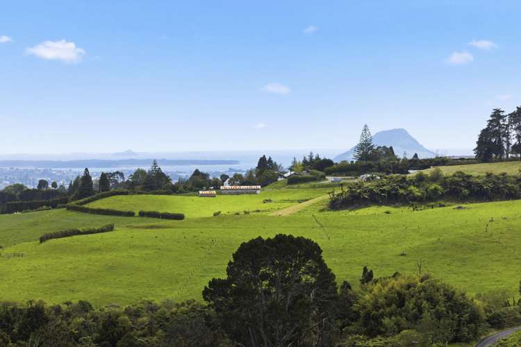 857B Upper Ohauiti Road Ohauiti_16