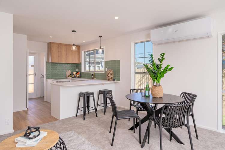 38 Young Street Somerfield_8