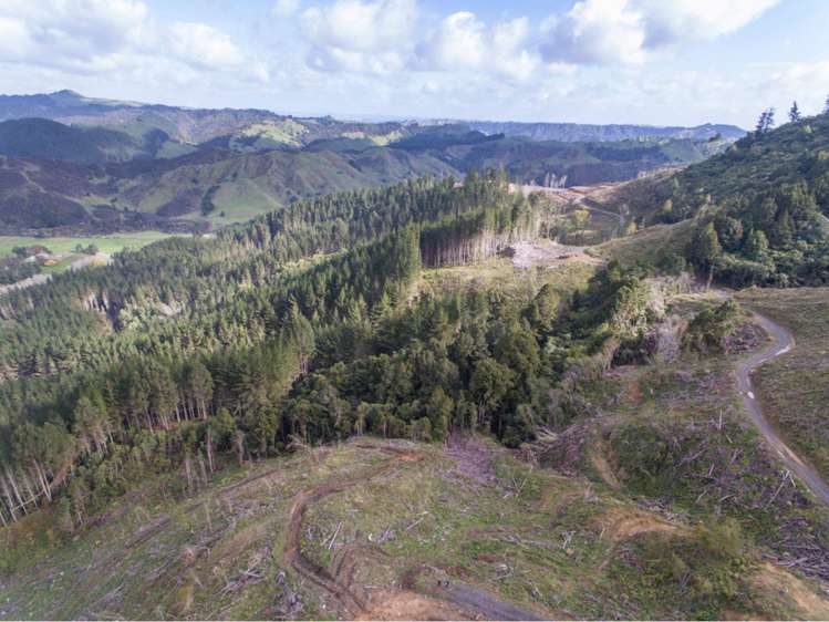 15 State Highway 49 Ohakune_16