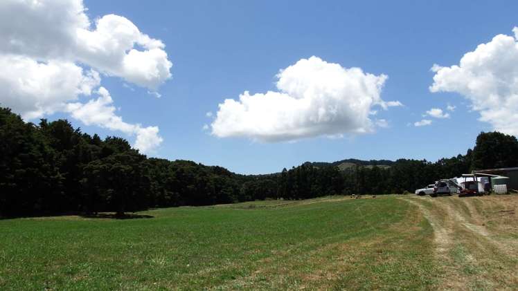 793 Whangaripo Valley Road Whangaripo_35