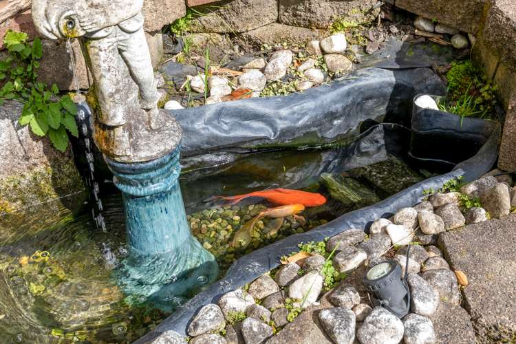 48 Zefiro Drive Massey_19