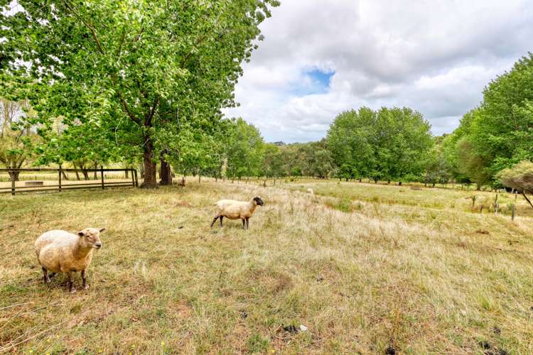 75 Homestead Lane Kaiwaka_19