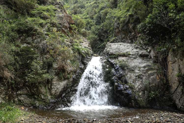 106 Harrison Hill Road Aokautere_13