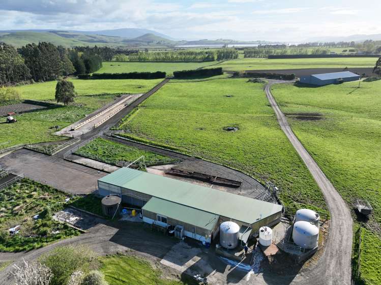 30 Phosphate Road Milton_15