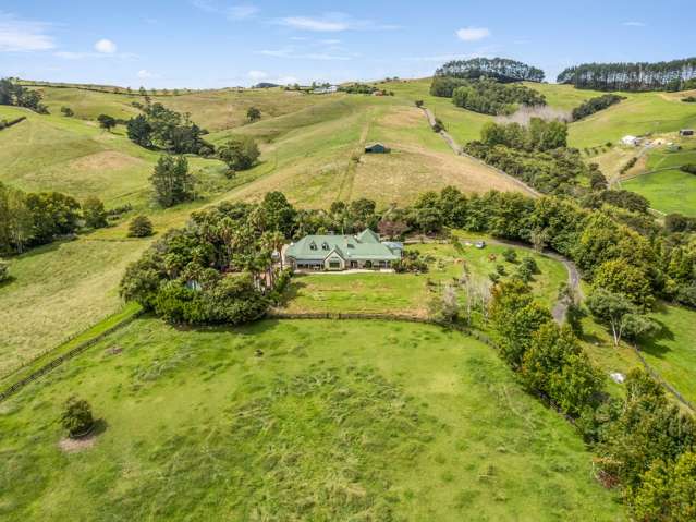 1021 Peak Road Helensville_4