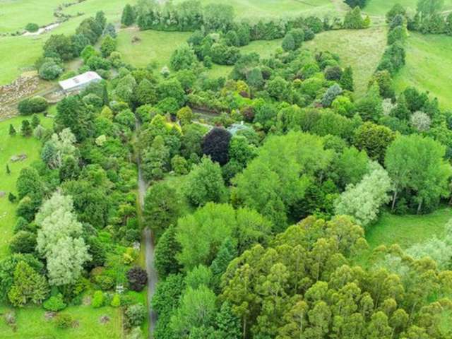 488 Tapuwae Road Benneydale_4