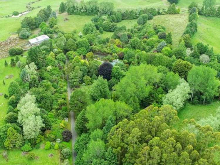 488 Tapuwae Road Benneydale_4