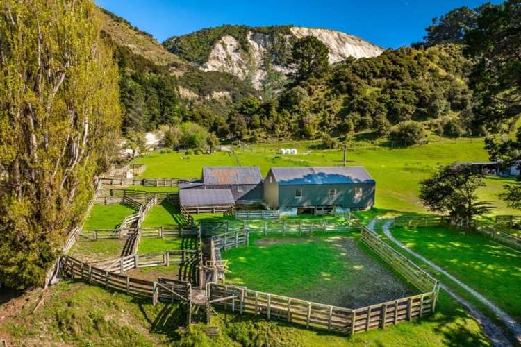 3237 State Highway 1, Waipapa Bay Kaikoura_11