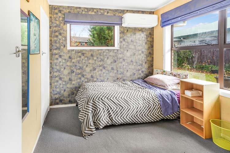 21 Williams Avenue Morrinsville_10